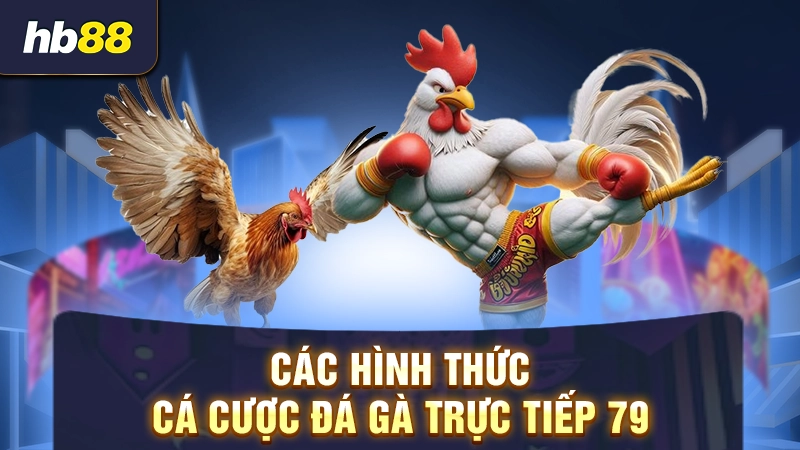 Các hình thức cá cược đá gà trực tiếp 79