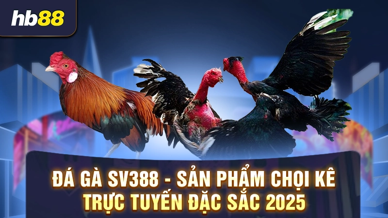 đá gà sv388