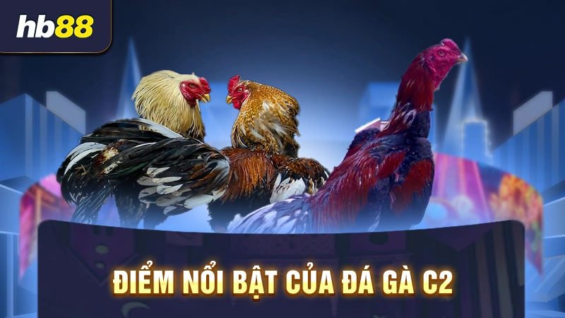 Điểm nổi bật của đá gà C2