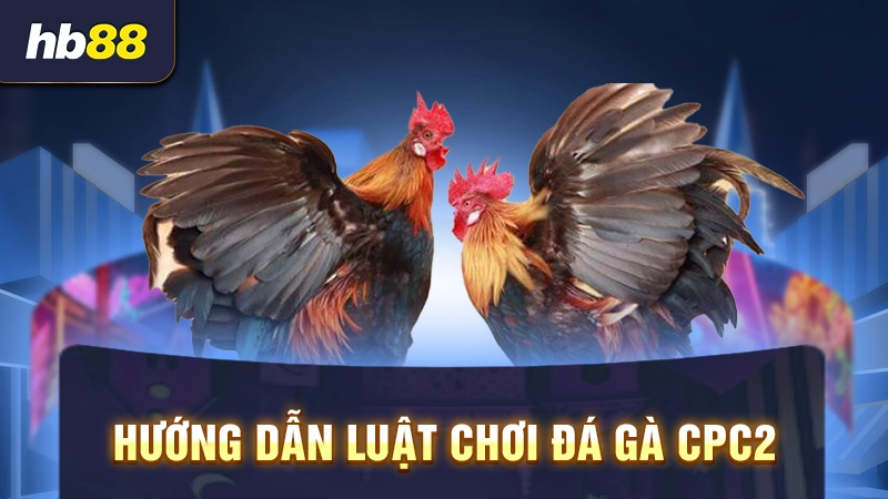 Hướng dẫn luật chơi đá gà CPC2